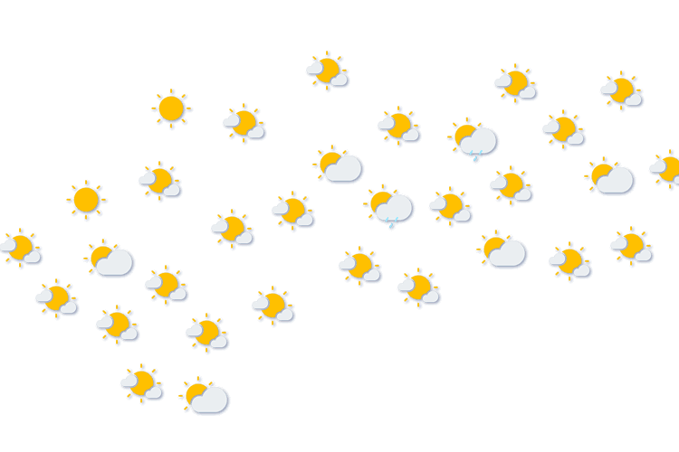 Forecast