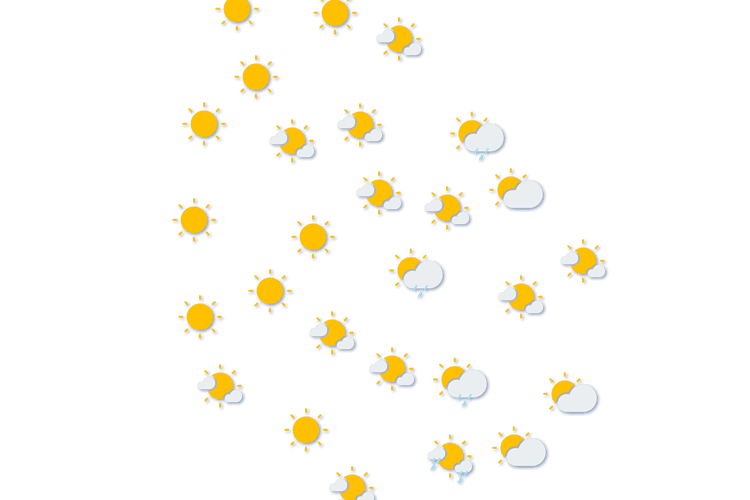 Forecast
