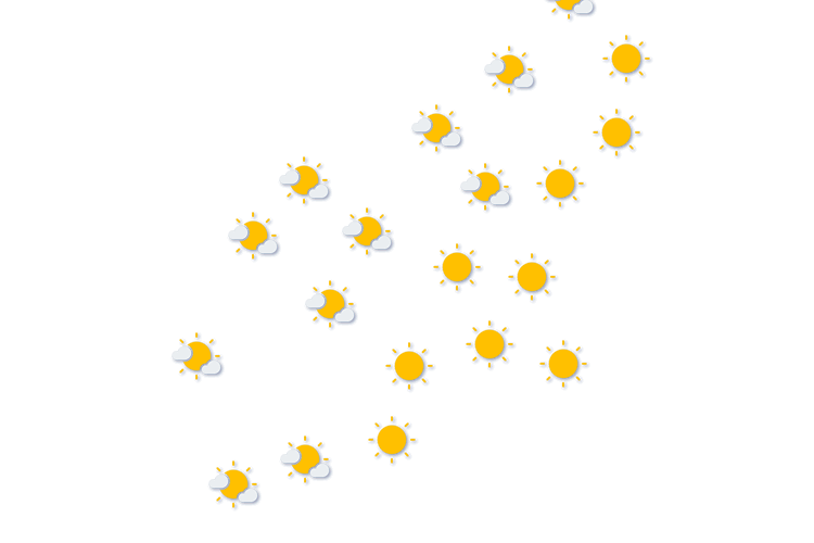 Forecast
