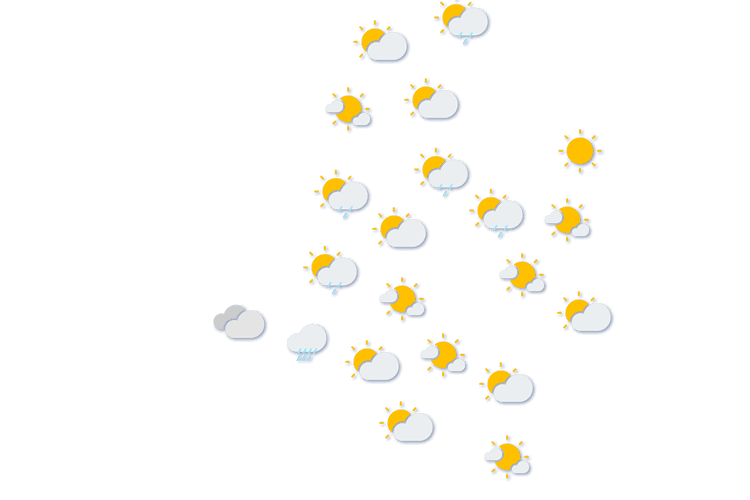Forecast