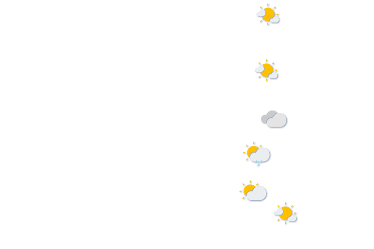 Forecast