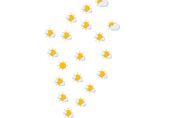 Forecast