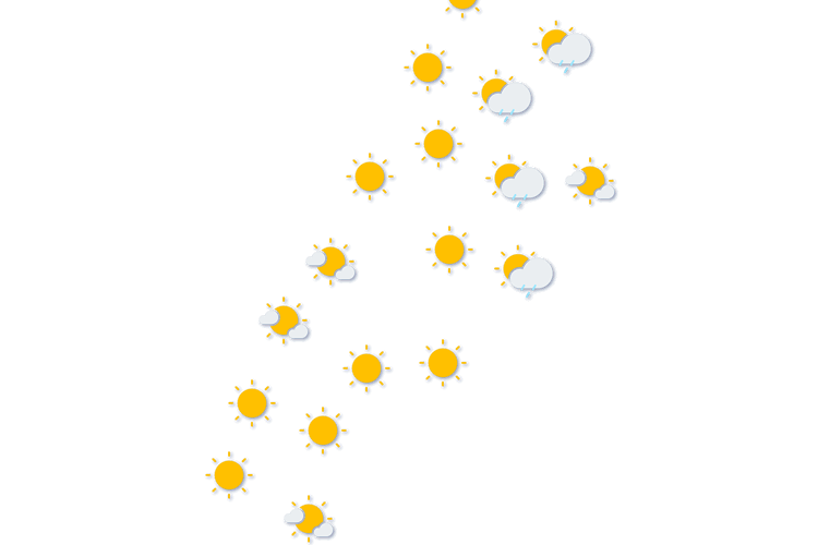 Forecast