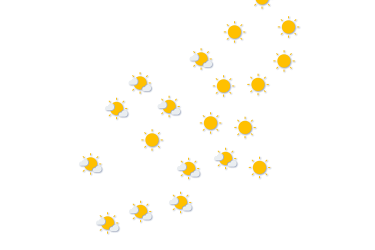 Forecast