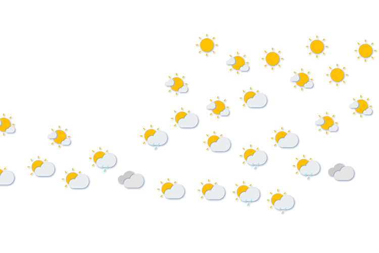 Forecast