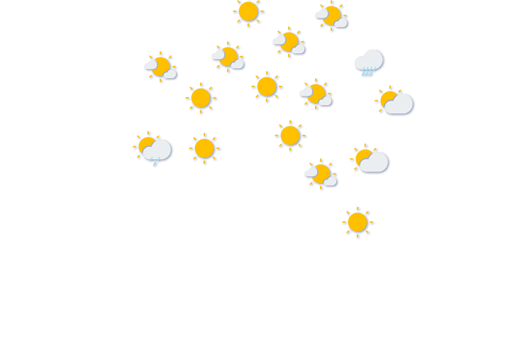 Forecast