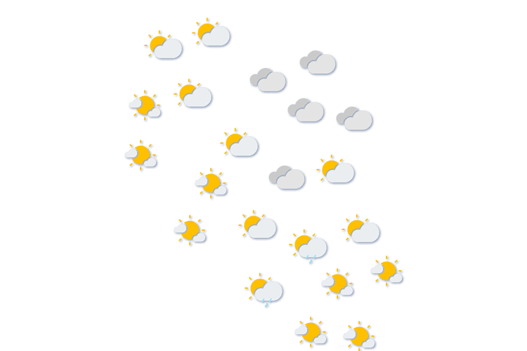 Forecast