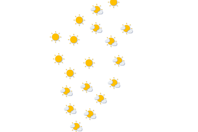 Forecast