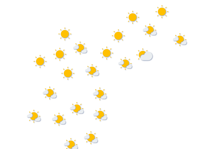 Forecast