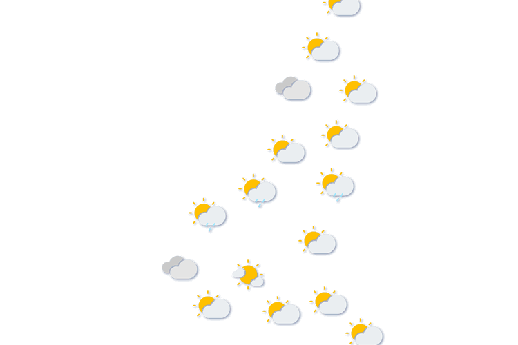 Forecast