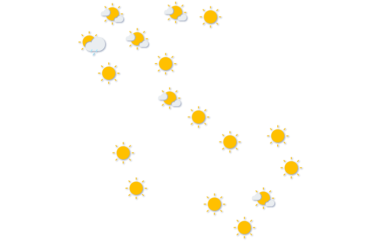 Forecast