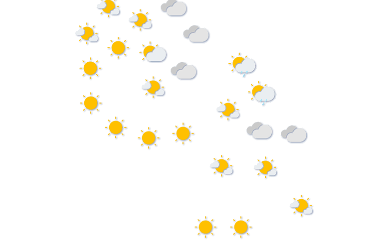 Forecast