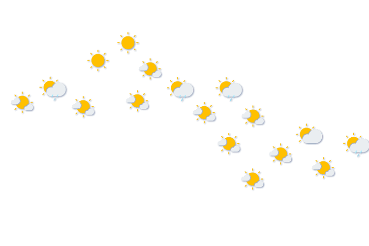 Forecast