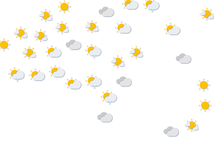 Forecast