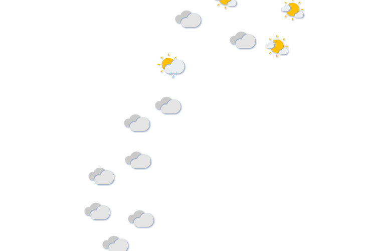 Forecast