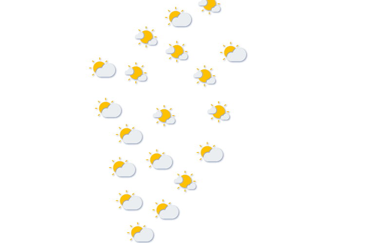 Forecast