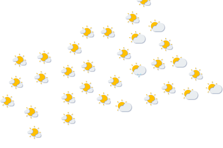 Forecast