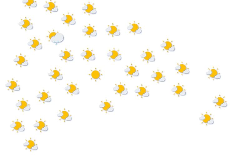 Forecast