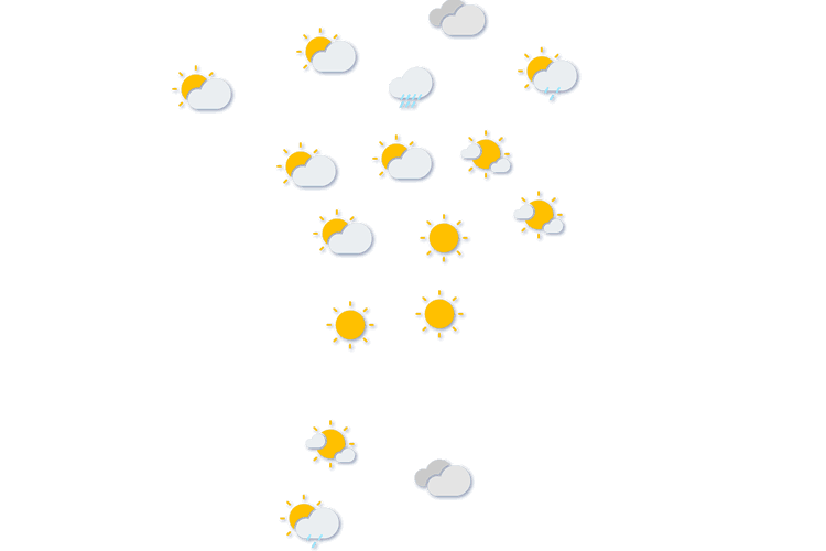 Forecast