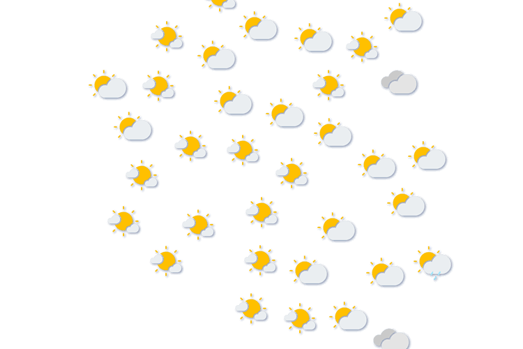 Forecast