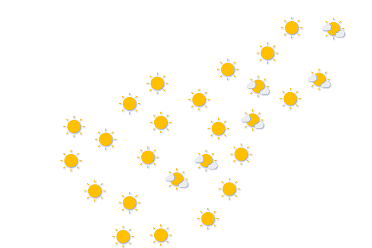 Forecast