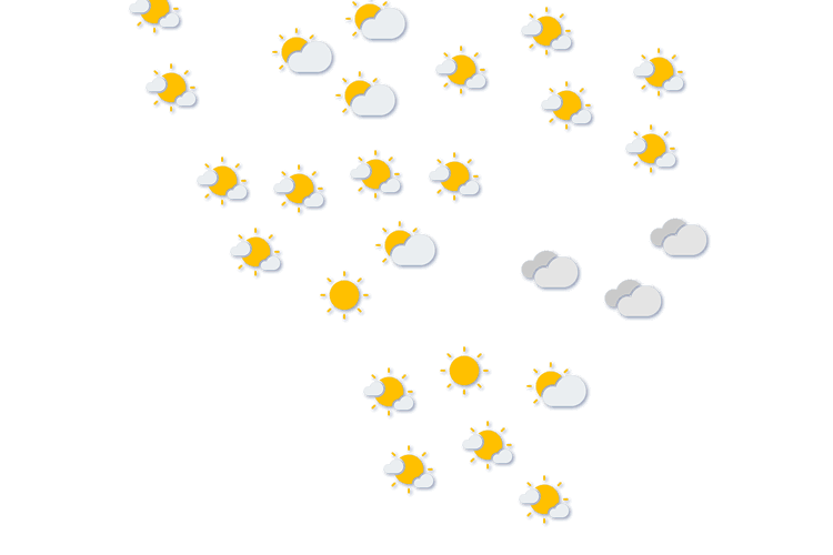 Forecast