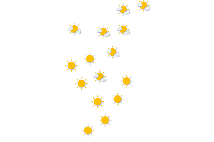Forecast