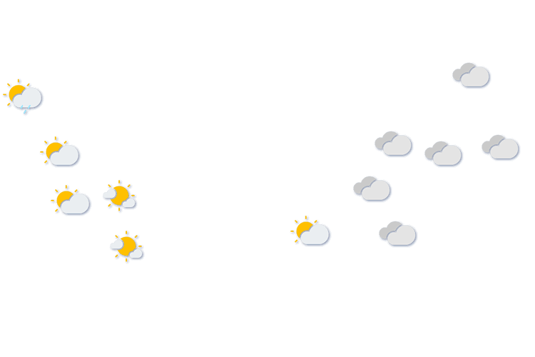 Forecast