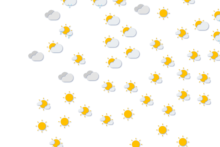 Forecast