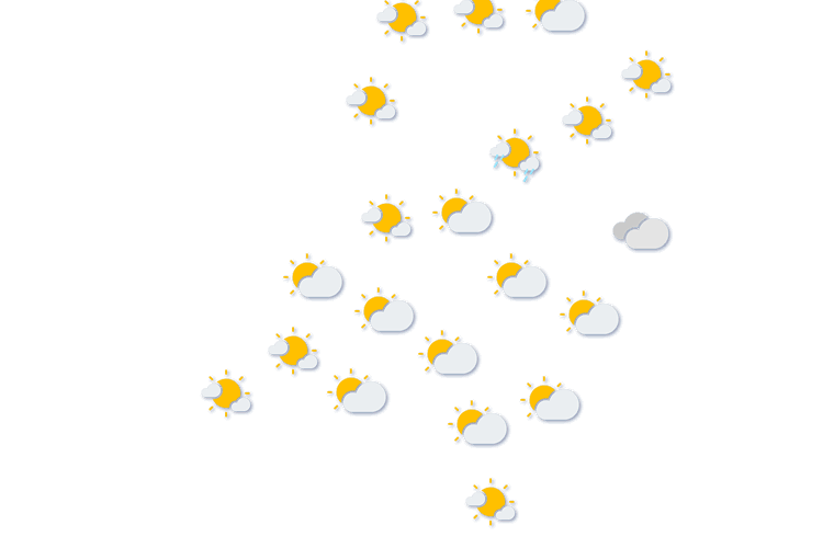 Forecast