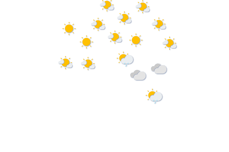 Forecast