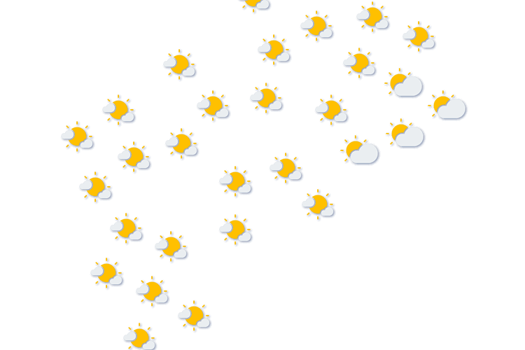 Forecast