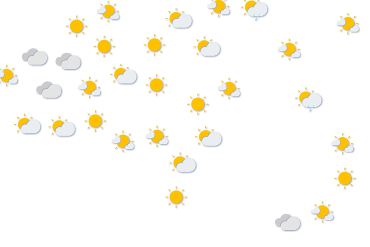 Forecast