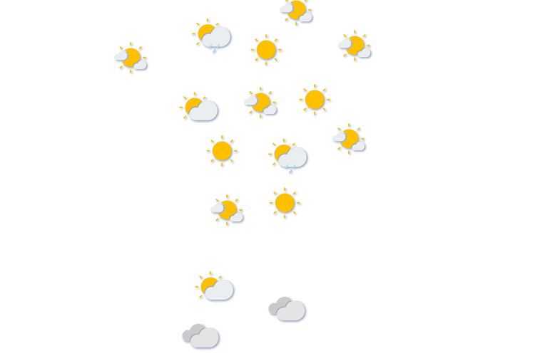 Forecast