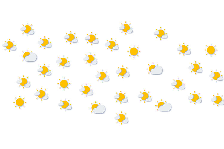 Forecast