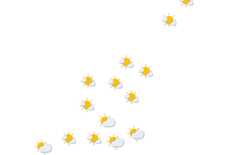 Forecast