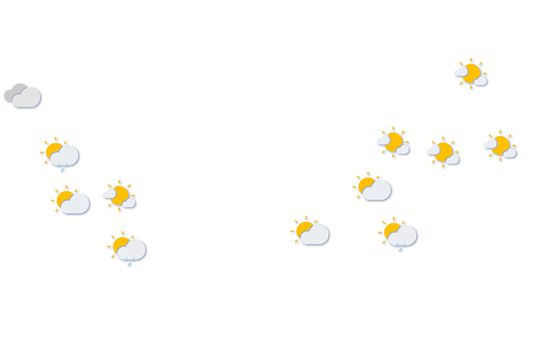 Forecast