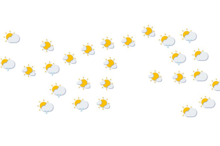 Forecast