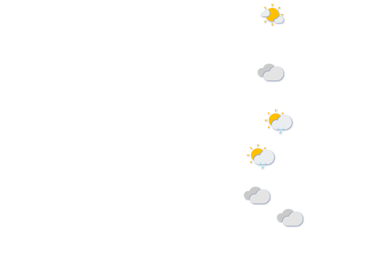 Forecast