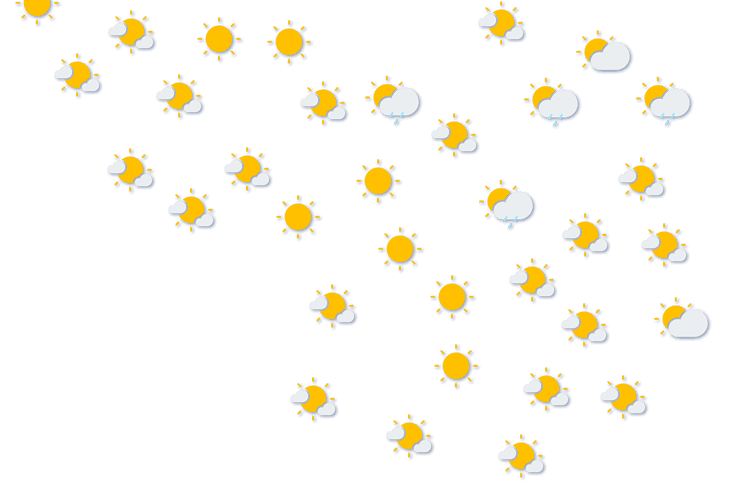 Forecast