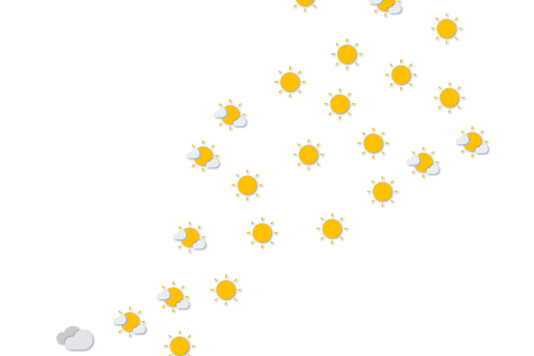 Forecast