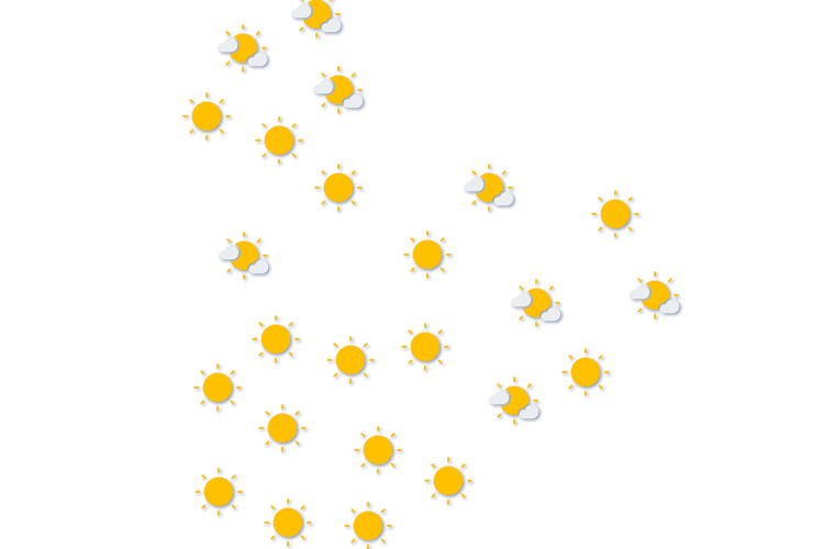 Forecast