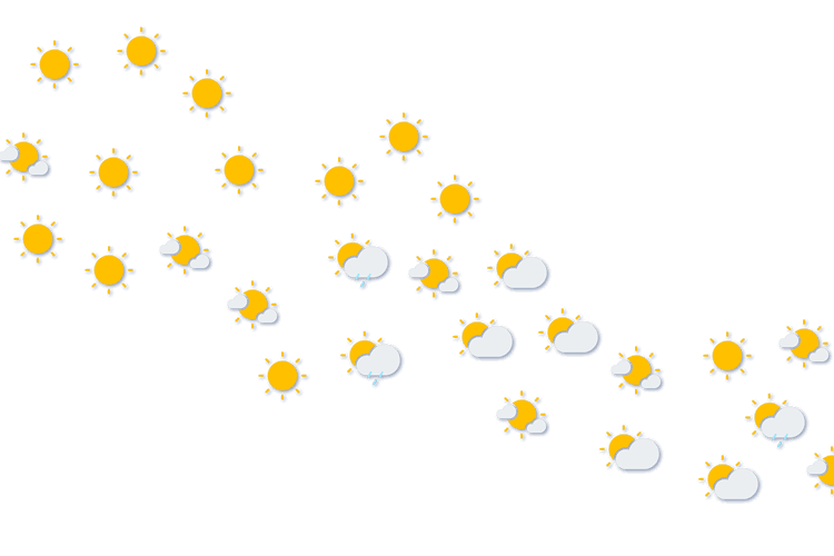 Forecast