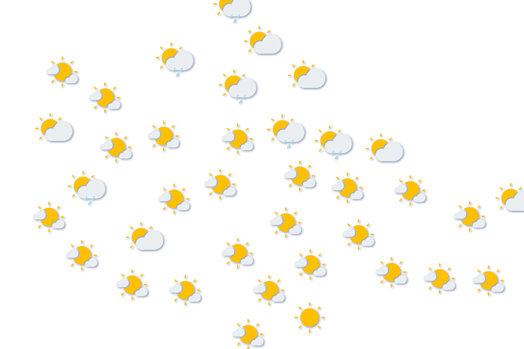 Forecast