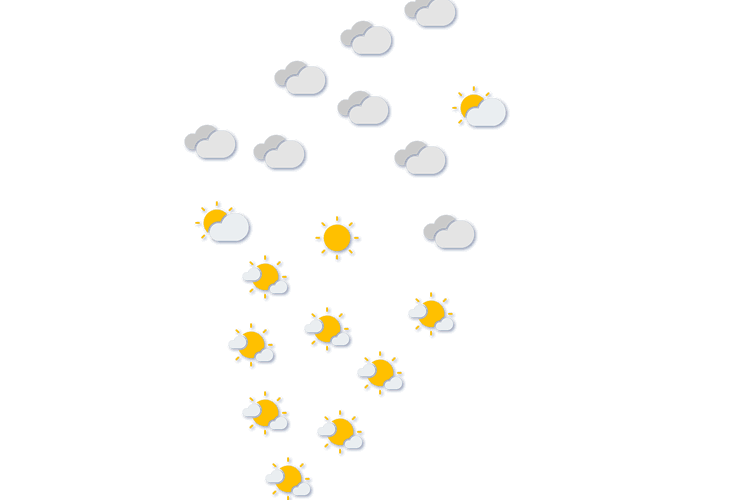 Forecast