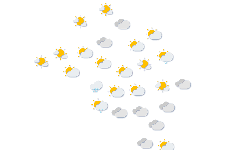 Forecast