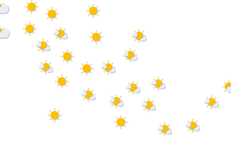 Forecast