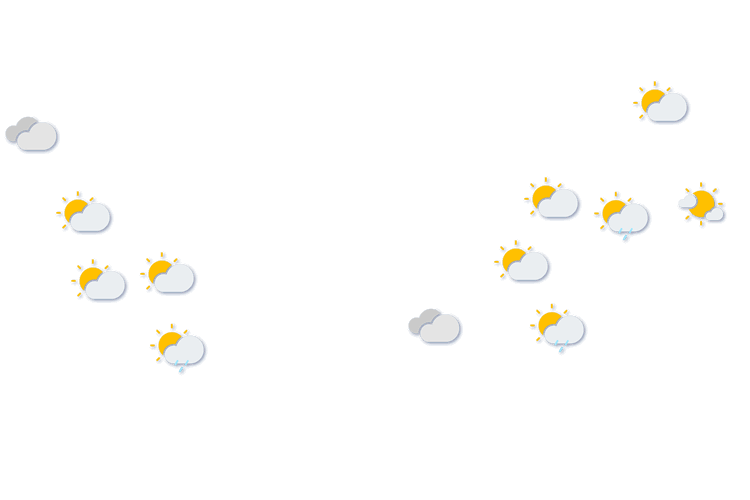 Forecast