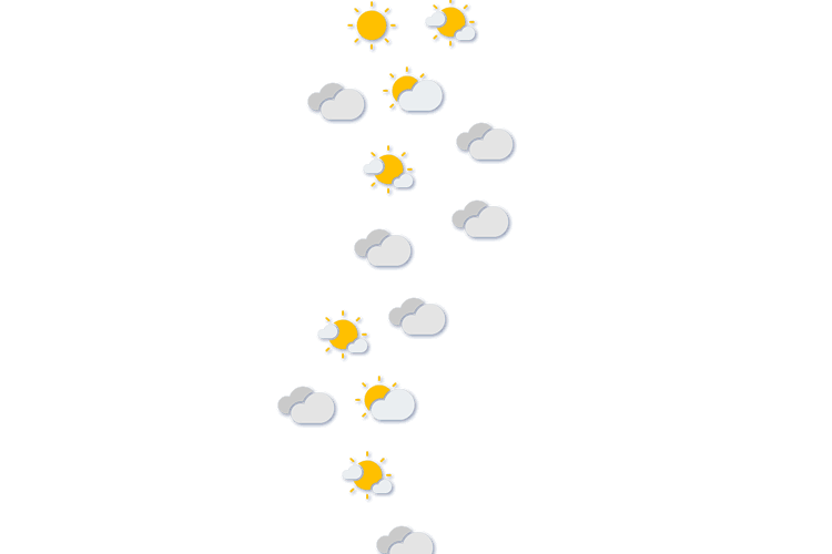 Forecast