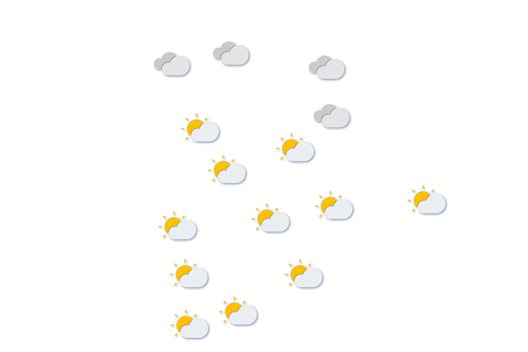 Forecast